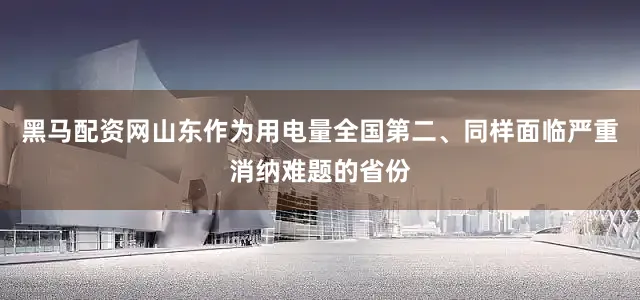 黑马配资网山东作为用电量全国第二、同样面临严重消纳难题的省份